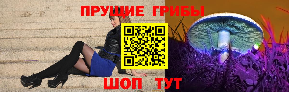 Псилоцибиновые грибы мухоморы Домодедово